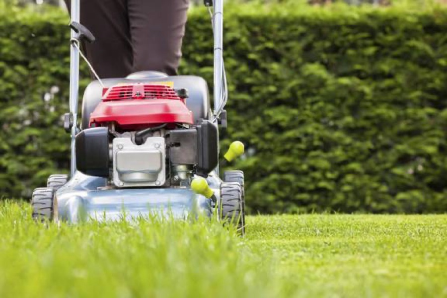 A petrol lawnmower being pushed across a grass verge